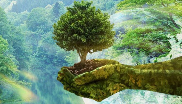 Now let's go back to the lap of nature