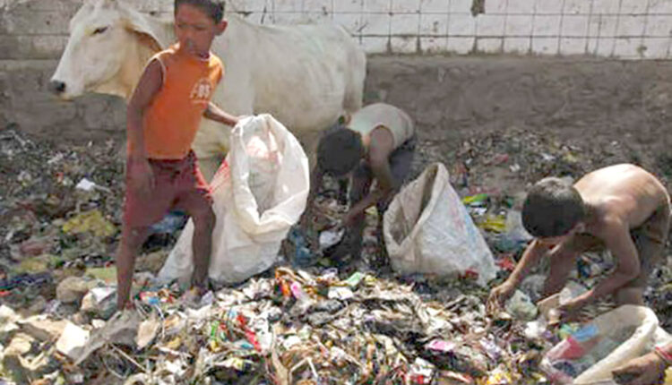 Children among rats and dogs