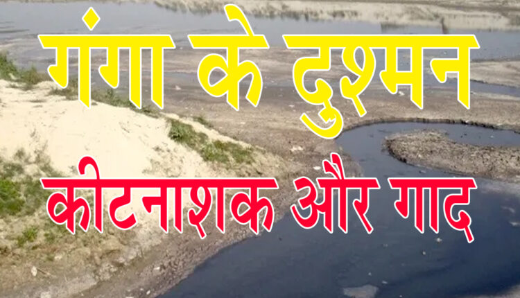 Enemies of Ganga Pesticides and Silt