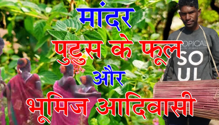 Putus flowers and Bhumij tribals