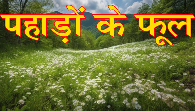 flowers of the mountains