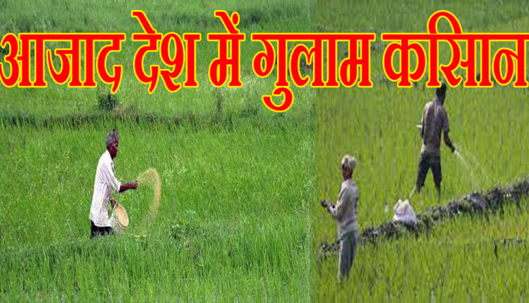 Slave farmers in a free country