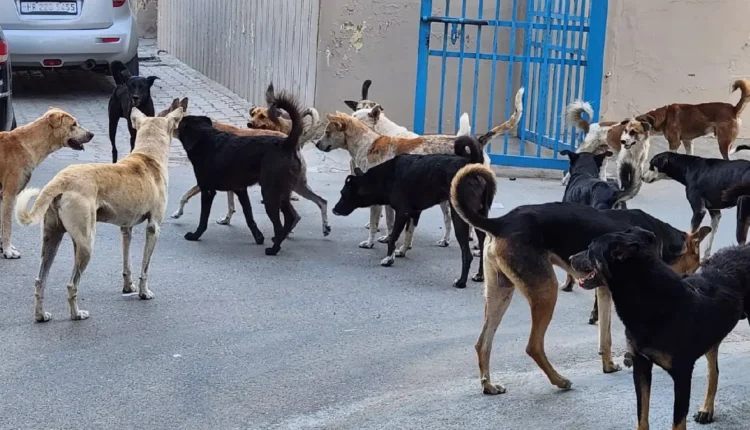 Capitalist system is an obstacle to unity